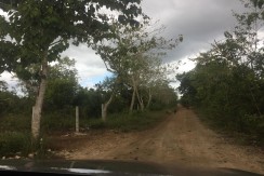 Lot For Sale in Tawala Panglao, Bohol