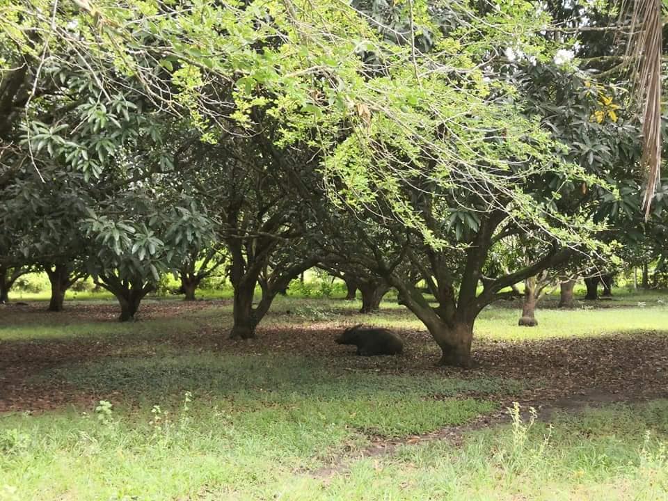 Interior one