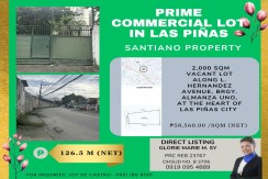 PRIME COMMERCIAL SANTIANO PROPERTY -  LAS PIÑAS