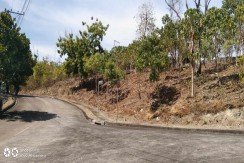 Lots for SALE at MARIA LUISA NORTH - THE HERITAGE SUBD in Mandaue